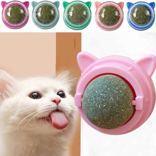 Catnip Balls